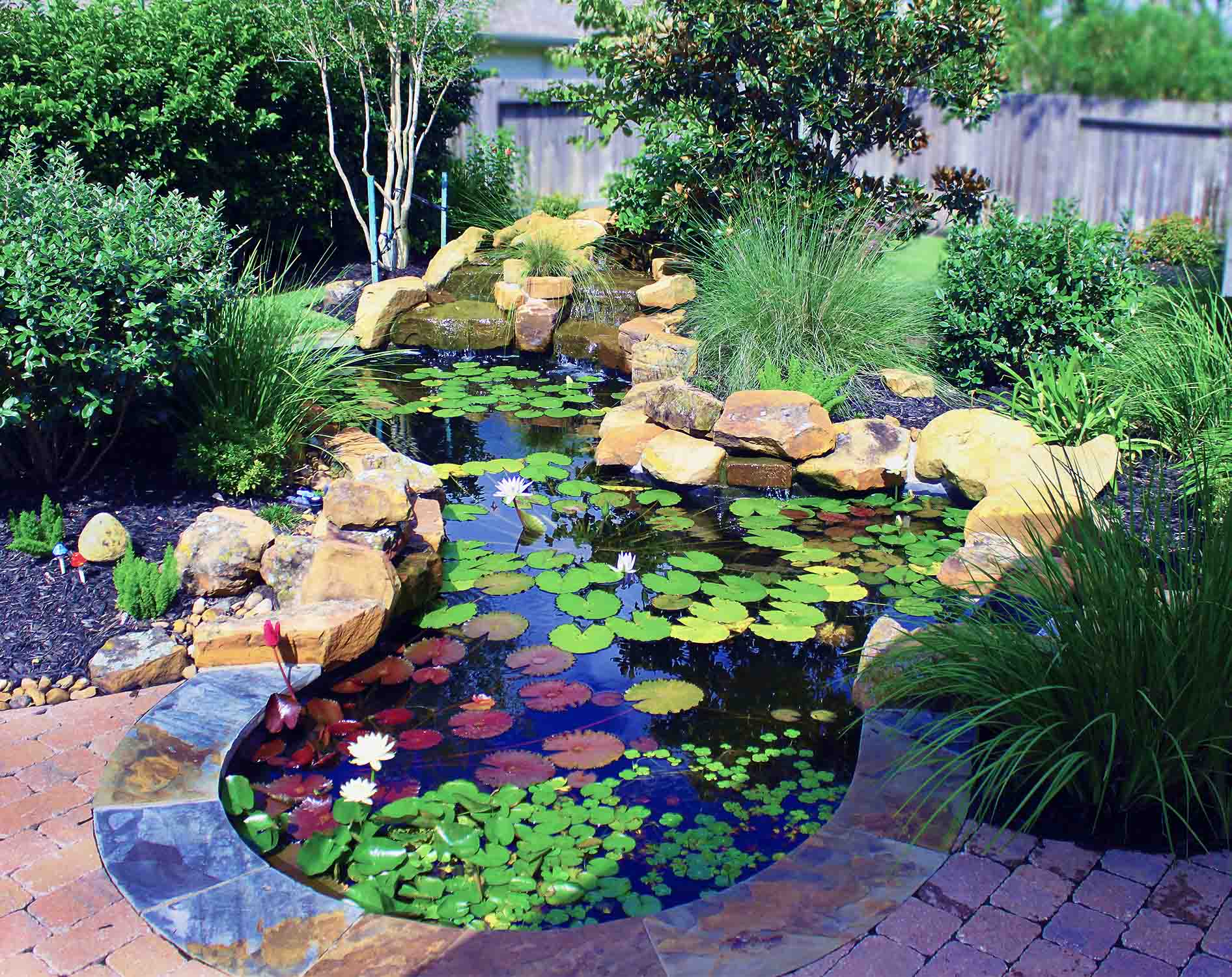 Pond