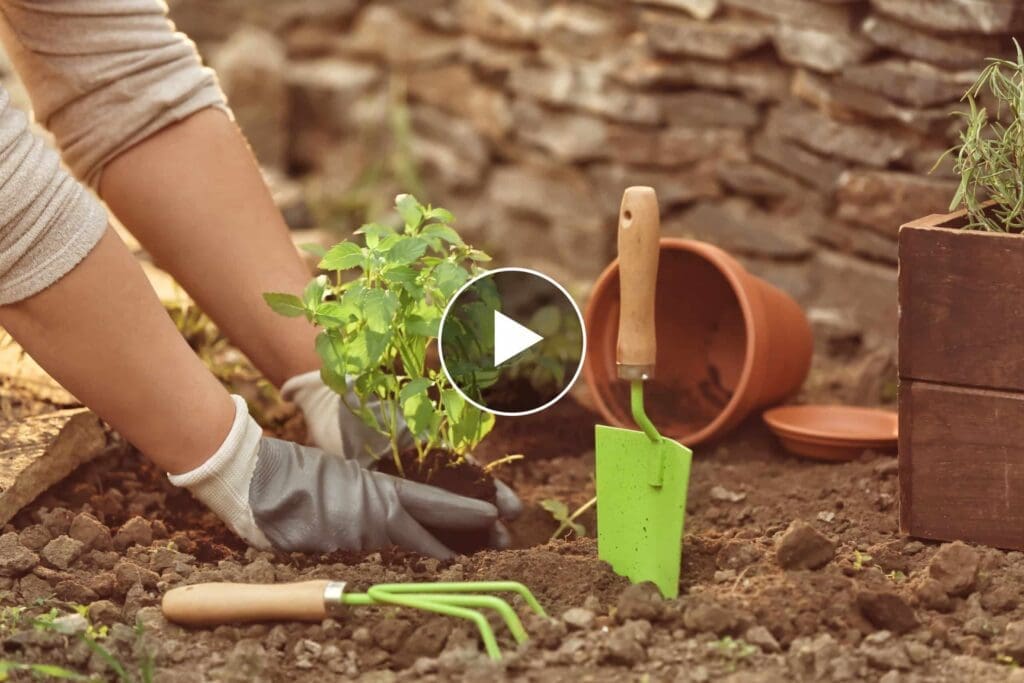 summer landscaping tips