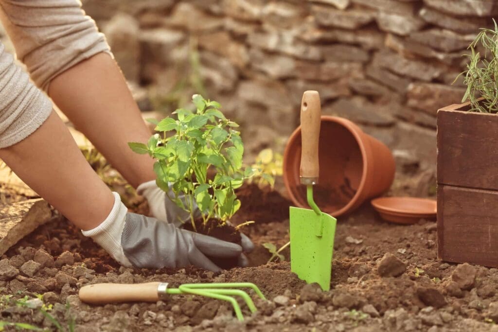 spring landscaping