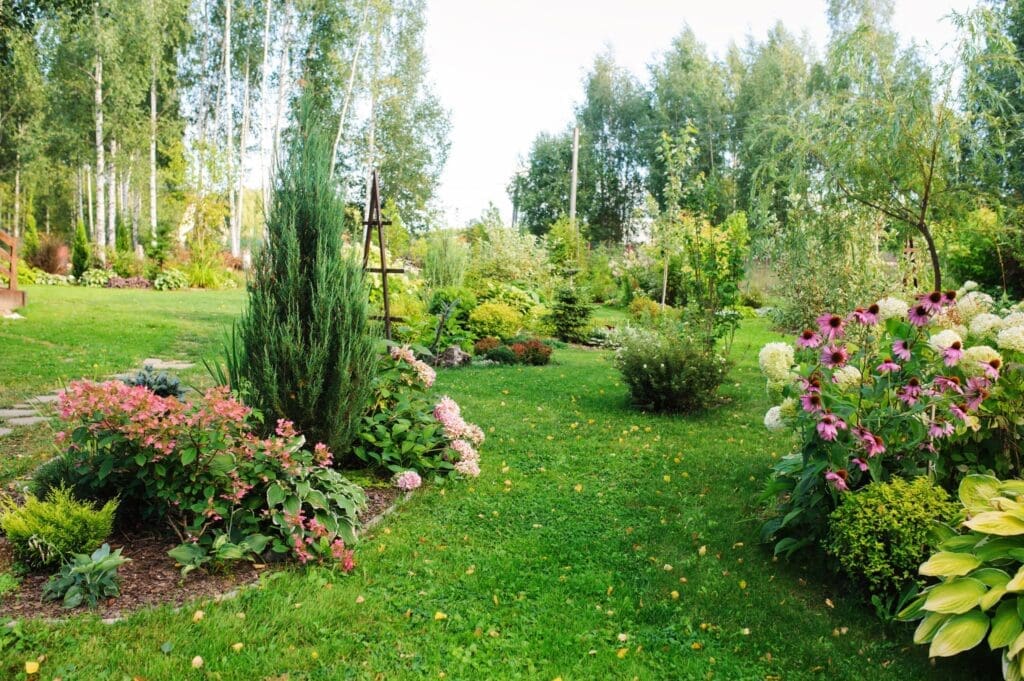 summer landscaping