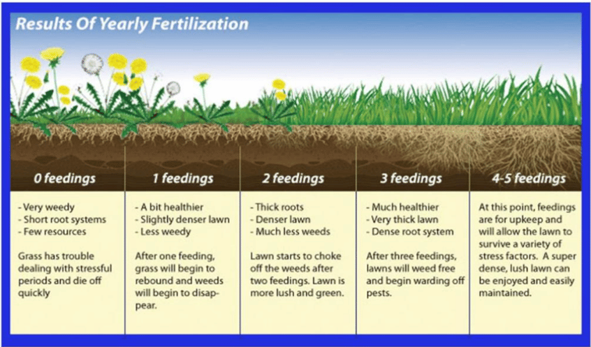 health of grass